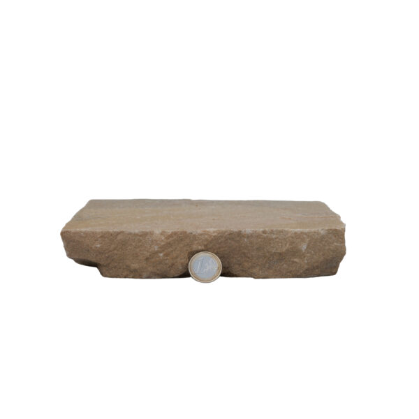 Pavé Grès d’Inde beige 14x20x3/5