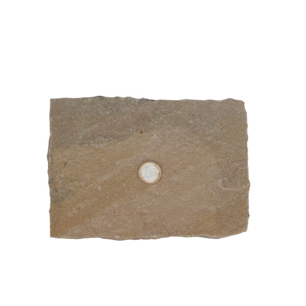 Pavé Grès d’Inde beige 14x20x3/5