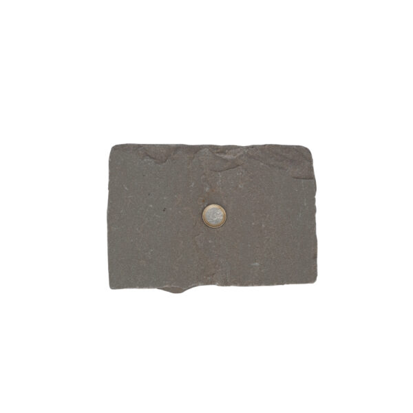 Pavé Grès d’Inde Multicolore 14x20x3/5